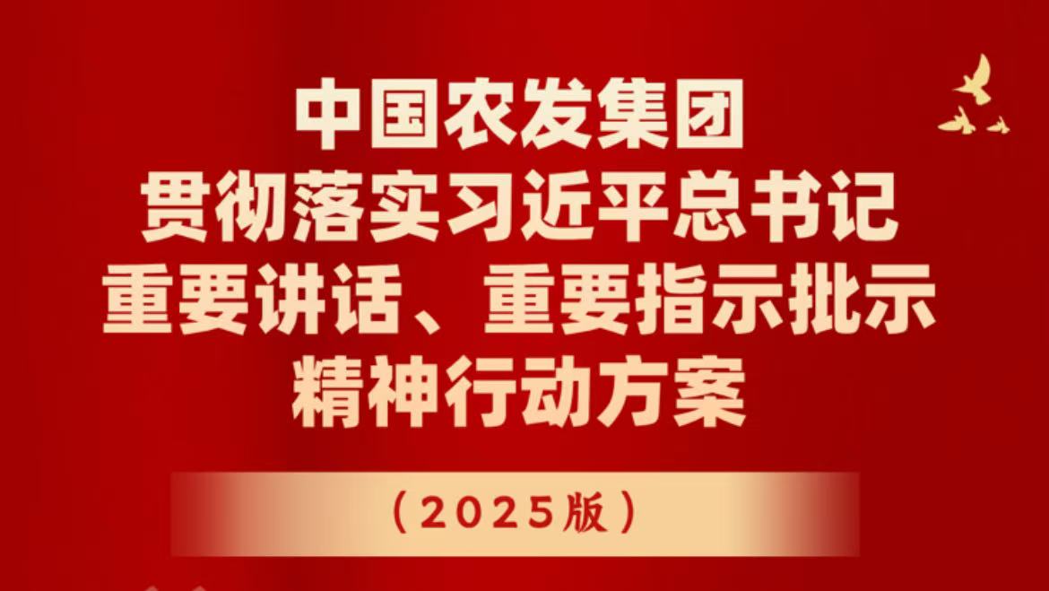 一图读懂中国凯发k8官网登录集团贯彻落实习近平总书记重要讲话、重要指示批示精神行动方案（2025版）